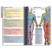 MDpocket® Southern Regional AHEC FM Resident 